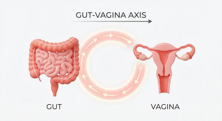 Eje intestino-vagina
